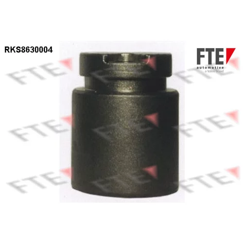 Piest brzdového strmeňa RKS8630004 /FTE/