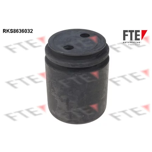 Piest brzdového strmeňa RKS8636032 /FTE/