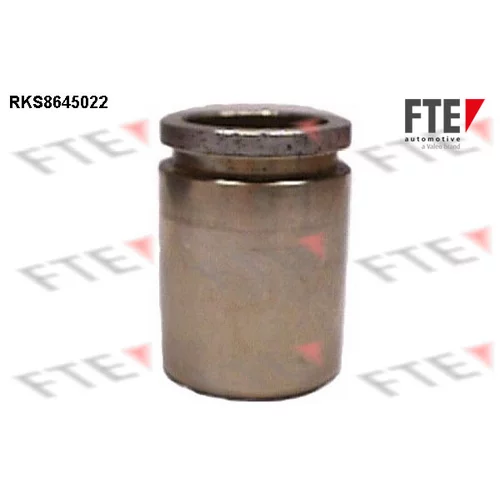 Piest brzdového strmeňa RKS8645022 /FTE/