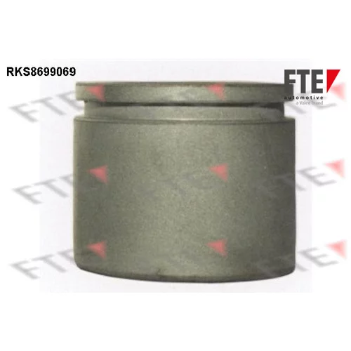 Piest brzdového strmeňa RKS8699069 /FTE/