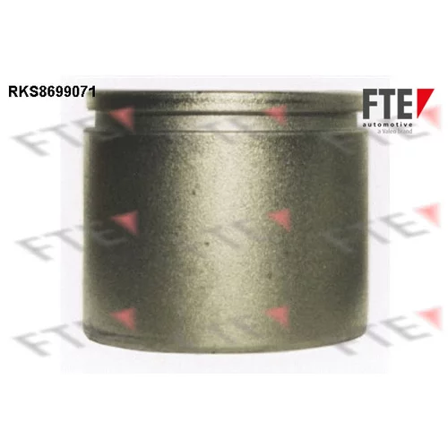 Piest brzdového strmeňa RKS8699071 /FTE/