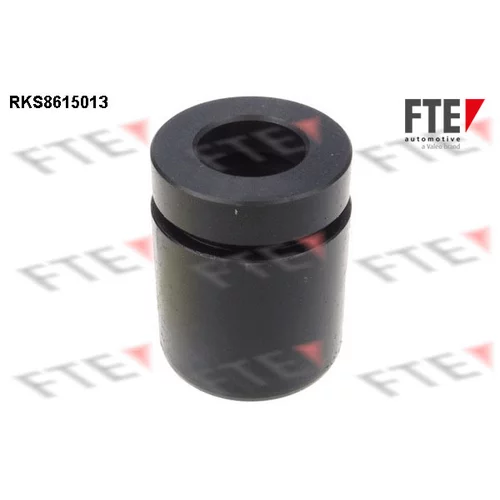 Piest brzdového strmeňa 9313006 /FTE/