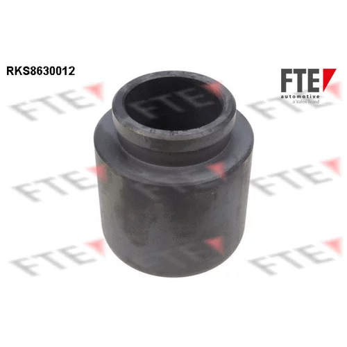 Piest brzdového strmeňa 9313248 /FTE/