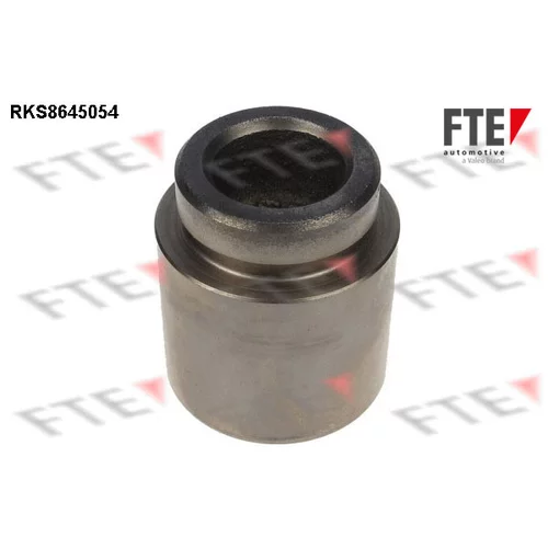 Piest brzdového strmeňa RKS8645054 /FTE/