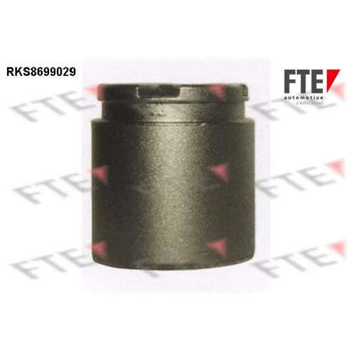 Piest brzdového strmeňa RKS8699029 /FTE/