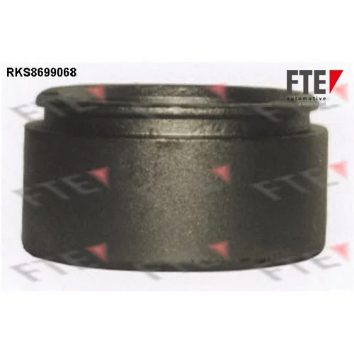 Piest brzdového strmeňa RKS8699068 /FTE/