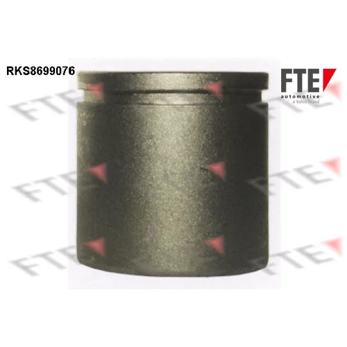 Piest brzdového strmeňa RKS8699076 /FTE/