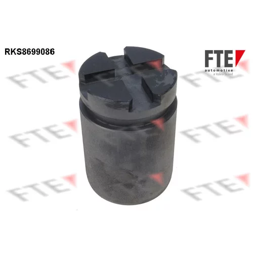 Piest brzdového strmeňa RKS8699086 /FTE/