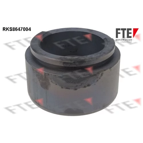 Piest brzdového strmeňa 9313075 /FTE/