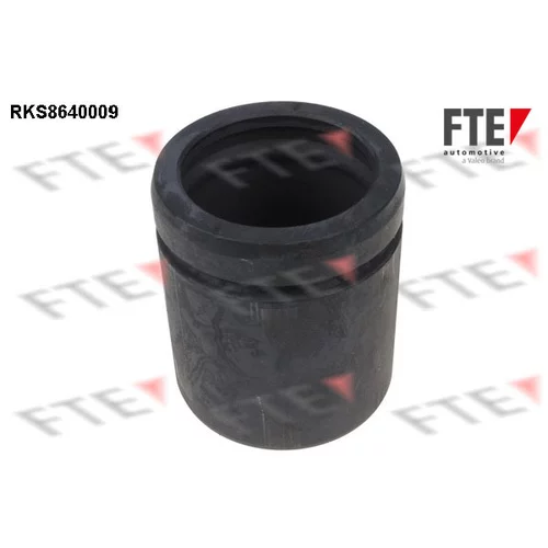 Piest brzdového strmeňa 9313369 /FTE/
