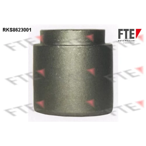 Piest brzdového strmeňa RKS8623001 /FTE/