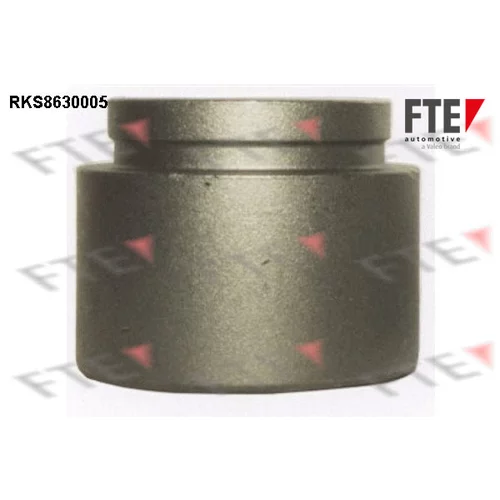 Piest brzdového strmeňa RKS8630005 /FTE/