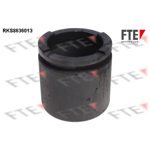 Piest brzdového strmeňa RKS8636013 /FTE/
