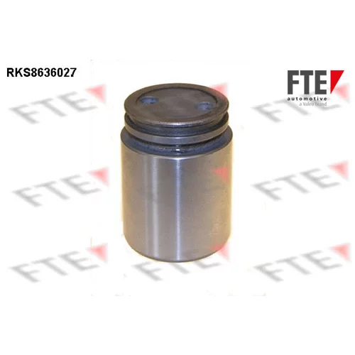 Piest brzdového strmeňa RKS8636027 /FTE/