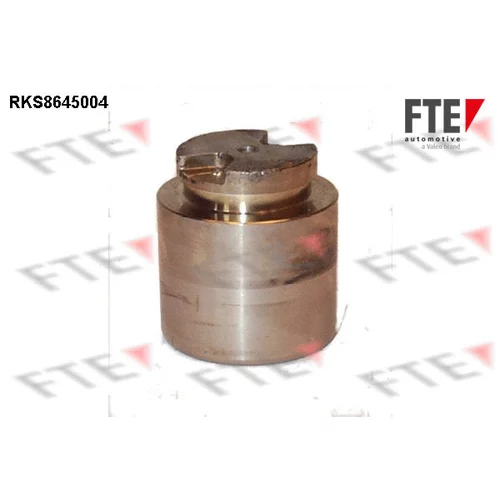 Piest brzdového strmeňa RKS8645004 /FTE/