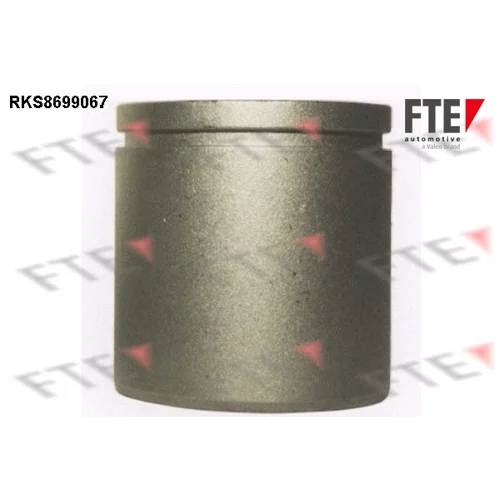 Piest brzdového strmeňa RKS8699067 /FTE/