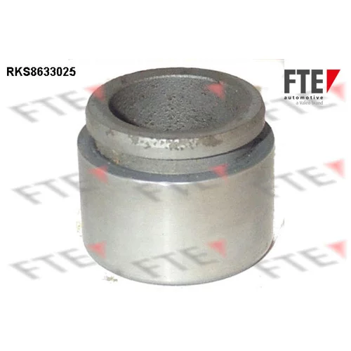 Piest brzdového strmeňa RKS8633025 /FTE/