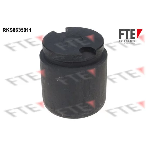 Piest brzdového strmeňa RKS8635011 /FTE/