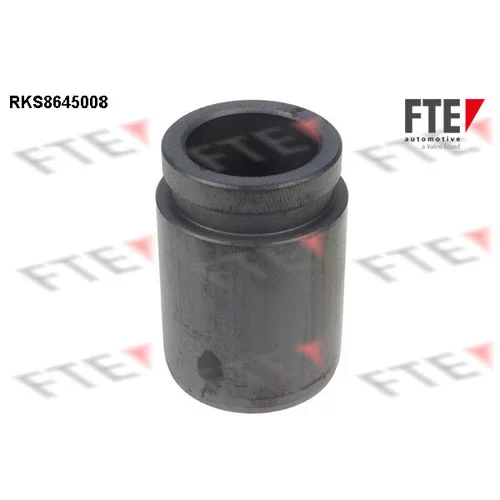 Piest brzdového strmeňa RKS8645008 /FTE/