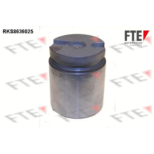 Piest brzdového strmeňa 9313060 /FTE/