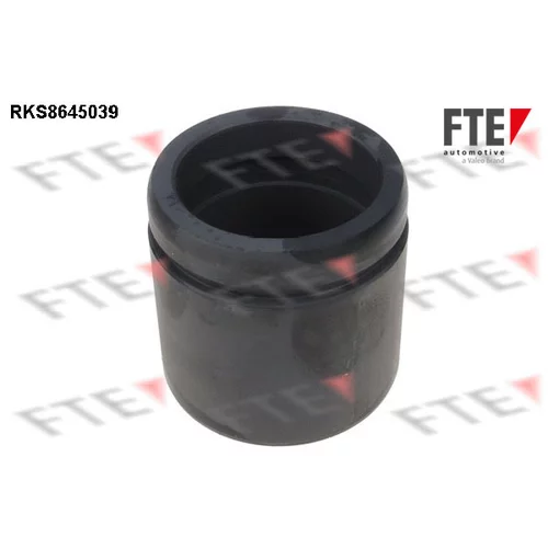 Piest brzdového strmeňa 9313073 /FTE/