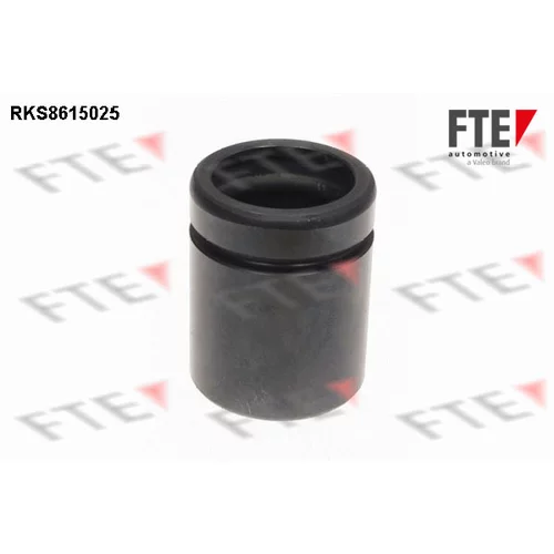 Piest brzdového strmeňa 9313140 /FTE/