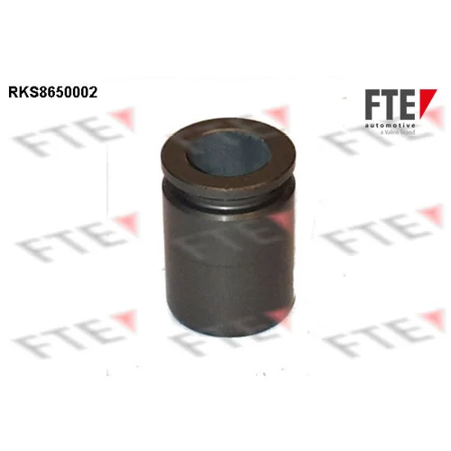 Piest brzdového strmeňa 9313451 /FTE/