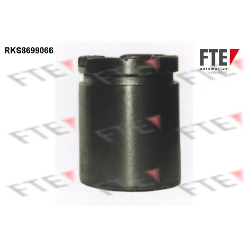 Piest brzdového strmeňa FTE 9313517