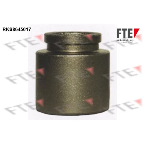 Piest brzdového strmeňa RKS8645017 /FTE/