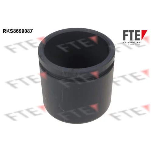 Piest brzdového strmeňa RKS8699087 /FTE/