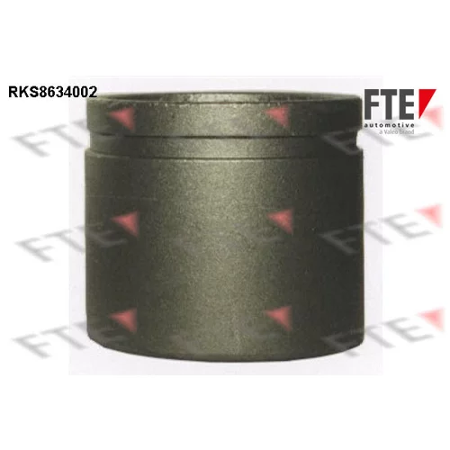 Piest brzdového strmeňa 9313050 /FTE/