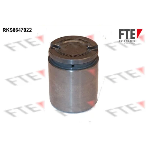 Piest brzdového strmeňa 9313081 /FTE/
