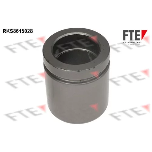 Piest brzdového strmeňa 9313143 /FTE/