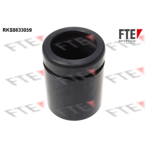 Piest brzdového strmeňa 9313298 /FTE/