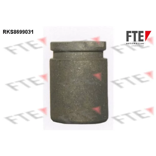 Piest brzdového strmeňa 9313493 /FTE/