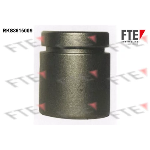 Piest brzdového strmeňa RKS8615009 /FTE/