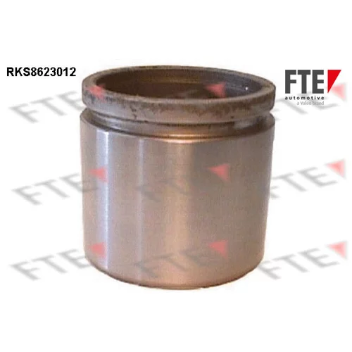 Piest brzdového strmeňa RKS8623012 /FTE/
