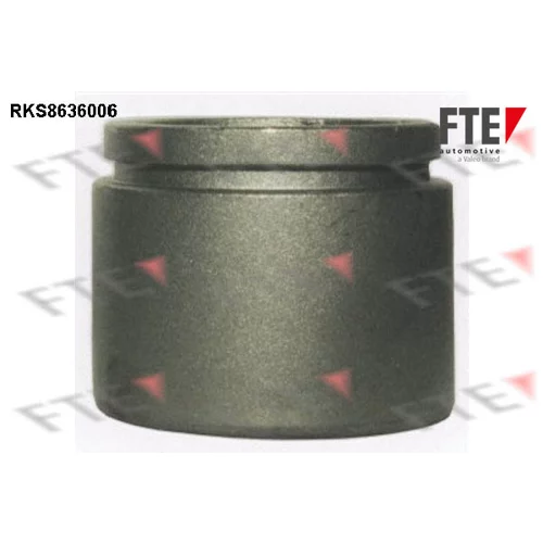 Piest brzdového strmeňa RKS8636006 /FTE/
