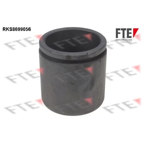Piest brzdového strmeňa 9313509 /FTE/