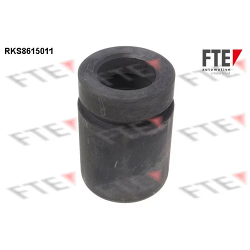 Piest brzdového strmeňa RKS8615011 /FTE/