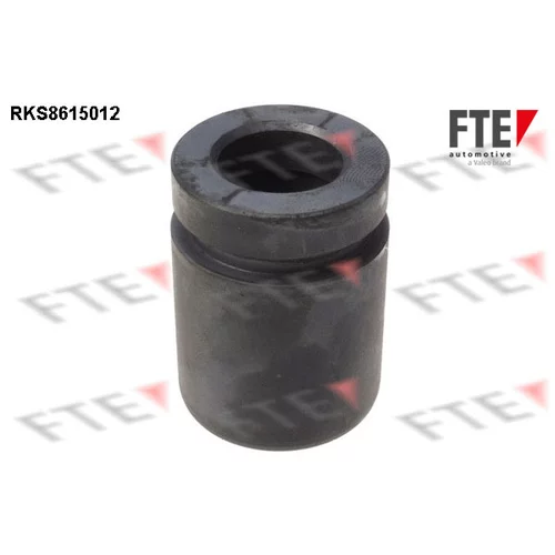 Piest brzdového strmeňa RKS8615012 /FTE/