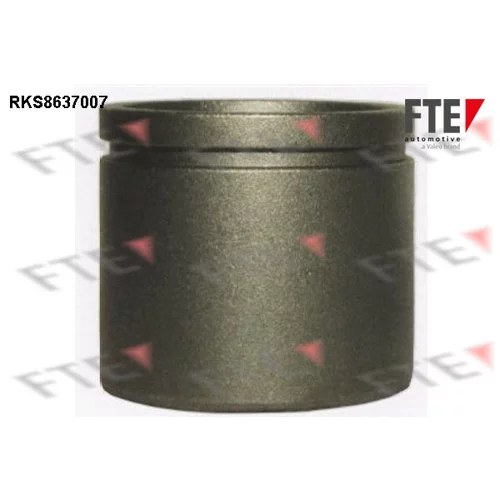 Piest brzdového strmeňa RKS8637007 /FTE/
