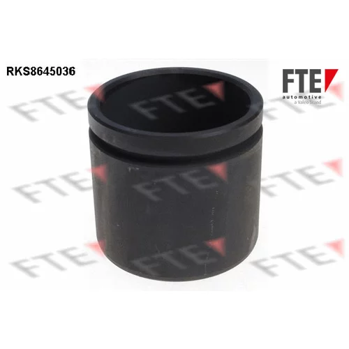 Piest brzdového strmeňa RKS8645036 /FTE/