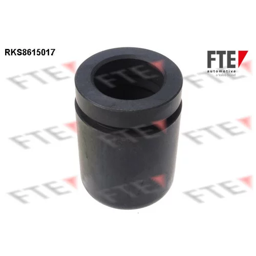 Piest brzdového strmeňa 9313133 /FTE/