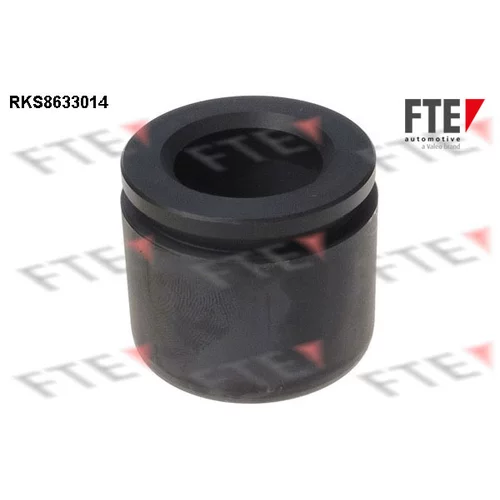 Piest brzdového strmeňa 9313271 /FTE/