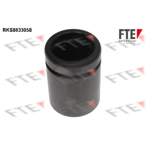 Piest brzdového strmeňa 9313297 /FTE/