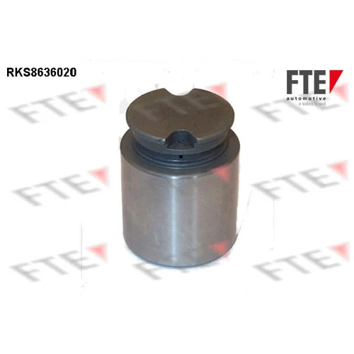 Piest brzdového strmeňa 9313335 /FTE/