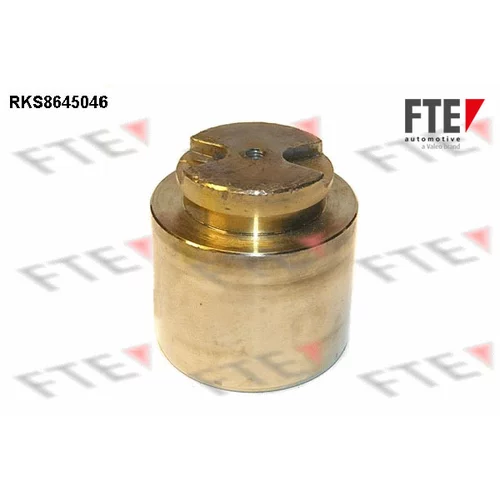 Piest brzdového strmeňa 9313417 /FTE/