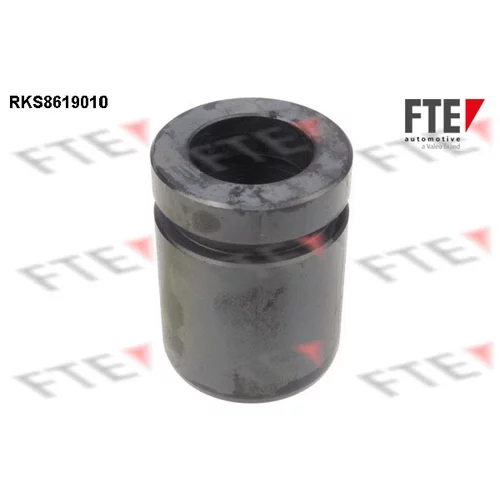 Piest brzdového strmeňa RKS8619010 /FTE/