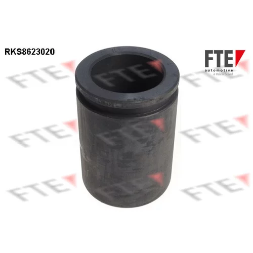 Piest brzdového strmeňa RKS8623020 /FTE/